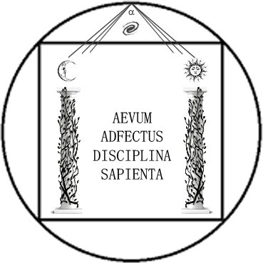 Alphavers platform preview